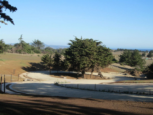 Condominio Olas De Punta De Lobos