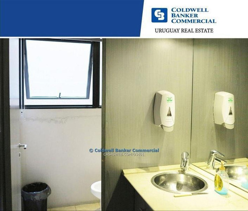 Oficina Punta Carretas Alquiler Venta