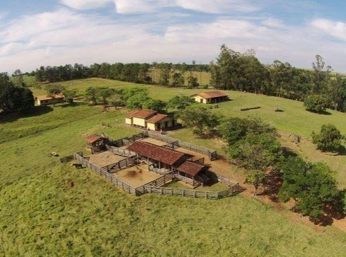Imagem 1 de 22 de Fazenda 80 Alqueires, Rica Em Água Com Riacho, Aproveitamento De 85% Para Plantio, Estruturada Para Pecuária, Casa Sede E Funcionarios, Curral, Galpão - Fa00248 - 70737151