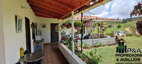 Imagen 7 de 24 de Finca En Venta En San Pedro - La Palma