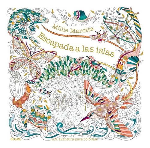 Escapada A Las Islas. Una Aventura Para Colorear
