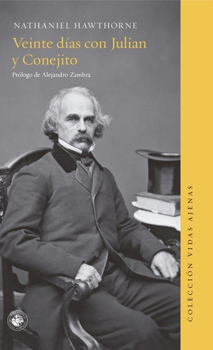 VEINTE DÍAS CON JULIAN Y CONEJITO (Nuevo) - NATHANIEL HAWTHO, de Nathaniel Hawthorne. Editorial Ediciones UDP en español