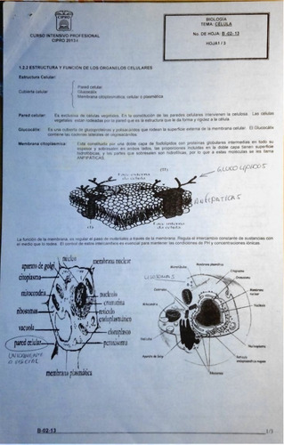 Guia De Estudio De Ingreso A Nivel Superior Unam Cipro