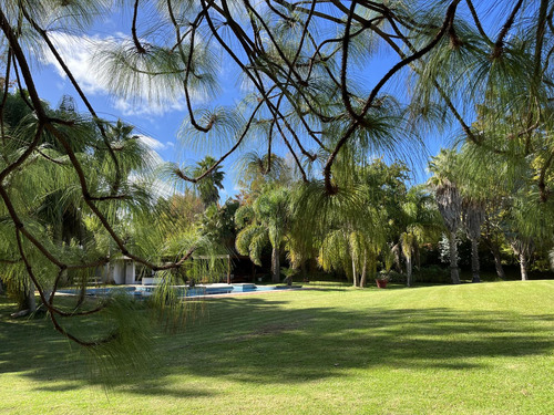 Venta De Casa En Barrio El Golf De Punta Del Este, Maravillosa Casa De Lujo