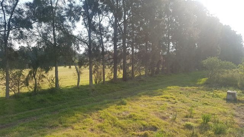 Amplio Terreno De 4,2 Há De 75x570 M. Chacra, Vivienda, Etc.