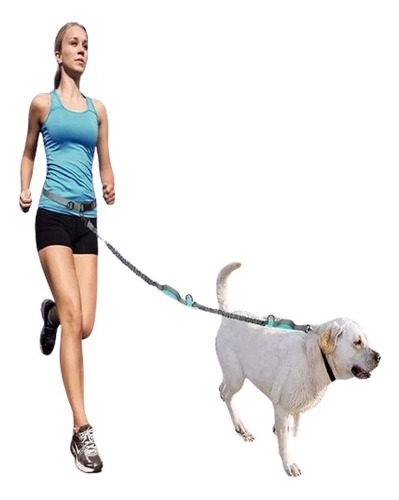 Correa Manos Libres Para Perro Flexible Running Mascotas