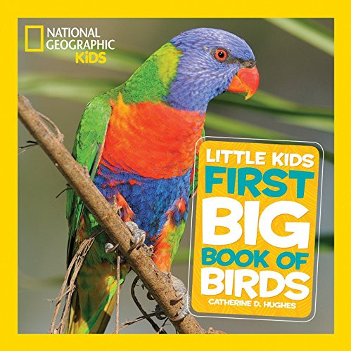 Libro Little Kids First Big Book Of Birds De Hughes, Catheri