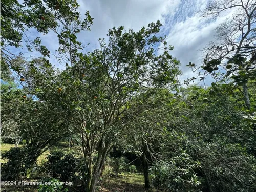 Casa En Vereda Calandaima Rah Co: 25-1128