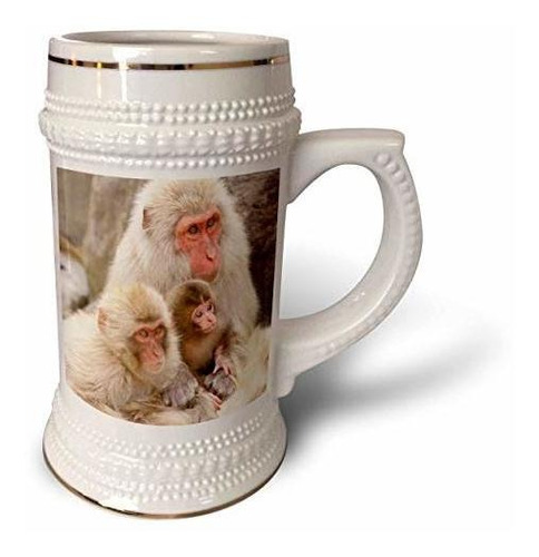 Tazas Cerveza 3drose Japan, Nagano, Jigokudani, Snow Monkey 