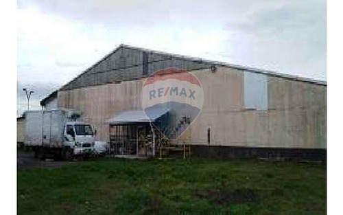 Bodegas Errazuriz/montt, Osorno
