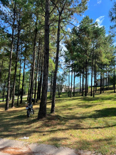 Imagen 11 de 17 de Lote La Reserva