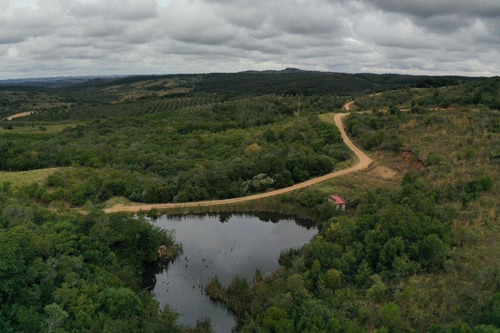 Imagen 16 de 30 de Campo Ovicola En Garzon - 212 Hectareas