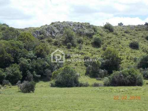Imagen 19 de 30 de Venta Chacra 96has En Minas, Lavalleja