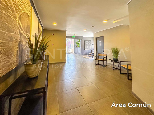 Departamento En Venta En Concepción