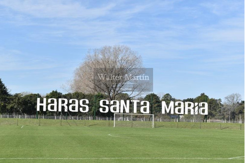 Imagen 27 de 30 de Casa En Venta 5 Ambientes Con Piscina En Escobar - Haras Santa Maria Barrio El Atardecer