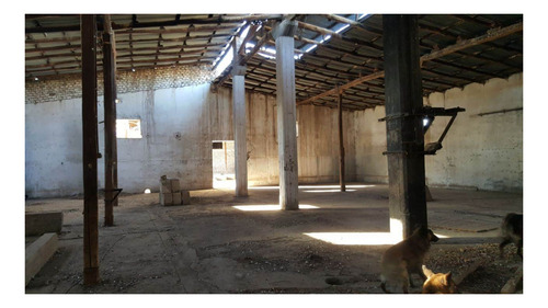 Imagen 12 de 13 de Vendo Propiedad Con Galpones Y Casa Centrico