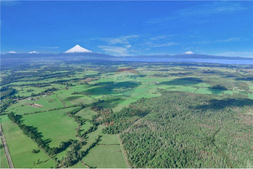 Remate De Terrenos A Pasos De  Lago Llanquihue.