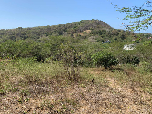 Lote 800m2 Palmarito Atlántico