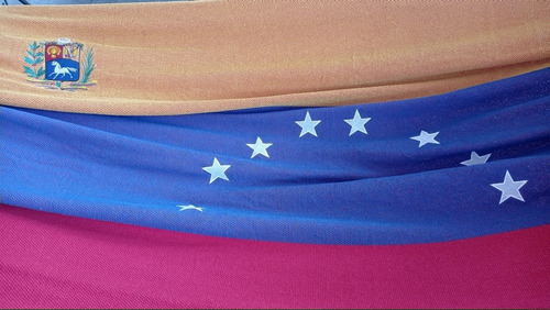 Imagen 4 de 6 de Hamaca Bandera De Venezuela Algodon