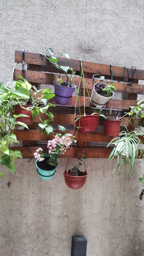 Alquiler Temporal En Flores. Min 3 Noches/ Max 30 Dias