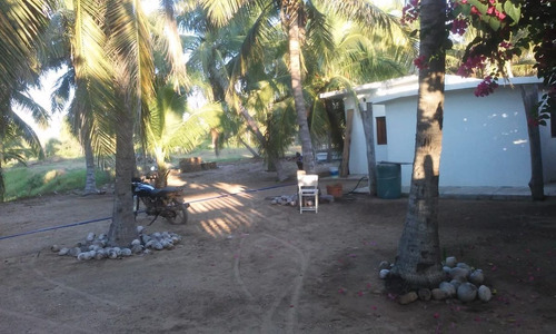 Imagen 8 de 14 de Terreno En Venta Las Brisas