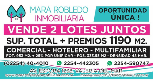 Imagen 2 de 14 de Vendo Lote Av Espora Y Loria