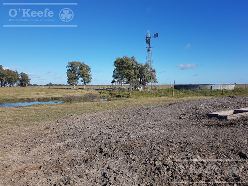 Imagen 18 de 27 de Campo De 600 Has En Venta En Gualeguaychu - Muy Buen Campo Ganadero De 0,7 Ev/ha Con Casco