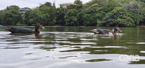 Imagem 9 de 11 de Casa Para Venda Em Salvador, Jaguaribe, 5 Dormitórios, 3 Suítes, 4 Banheiros, 4 Vagas - 1640_2851_1-1601236