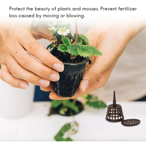 Tapa De Vivero, Herramienta Para Plantar Bonsáis, 100 Unidad