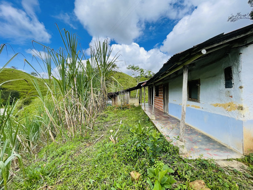 Venta De Lote En San Roque, Antioquia 