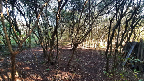 Chacra En Piriápolis