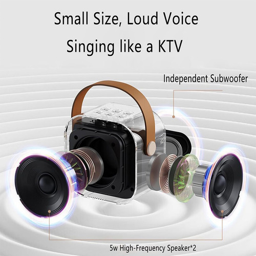 Mini Altavoz Karaoke Con 2 Micrófonos Inalámbricos