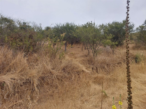 Terreno 5065 Paradero 8 Los Maitenes Limache