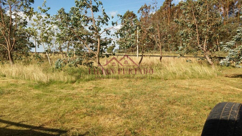 Exclusividad...inversión Asegurada En Las Garzas Uds 12.800 X 25 Has.- Ref: 593