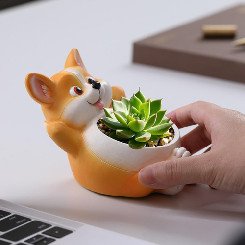 Macetas De Animales Maceta Para Cactus Y Plantas Maceta Deco
