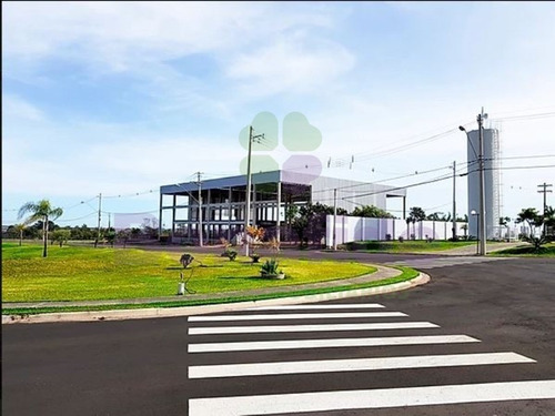Imagem 14 de 28 de Terreno Industrial, W Park Condomínio Industrial, Mogi Mirim - Te08619 - 34837535