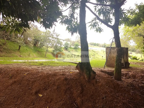 Imagem 8 de 12 de Otima Chacara Com Lago