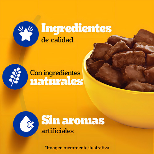 Pedigree Alimento Húmedo Sobrecito Perro Adulto Carne 12un