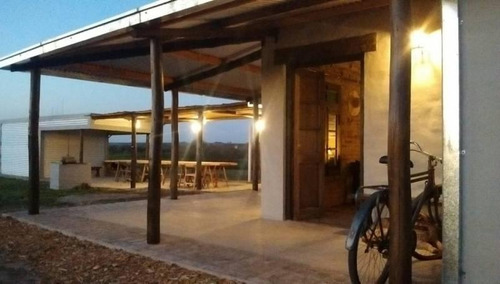 Imagen 9 de 30 de Viñedo Boutique, Totalmente Productivo, Con Casa Y Cava
