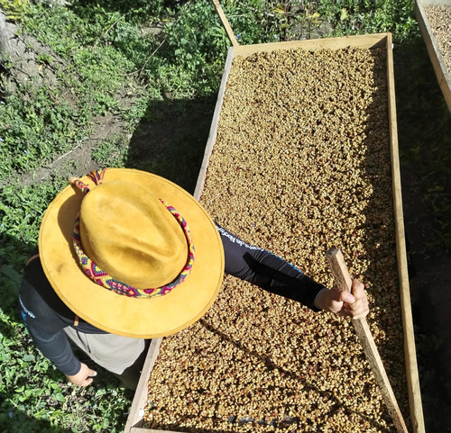 Cafe Kairos, Tueste Medio Alto, En Grano