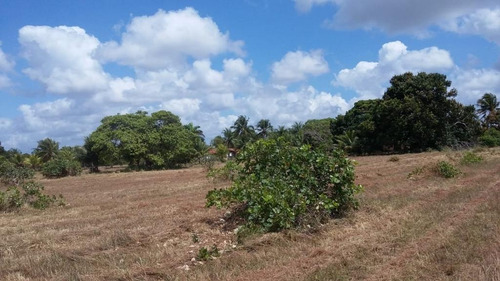 Imagem 27 de 30 de Chácara Com 3 Dormitórios À Venda, 58105 M² Por R$ 900.000,00 - Mendes - São José De Mipibu/rn - Ch0009