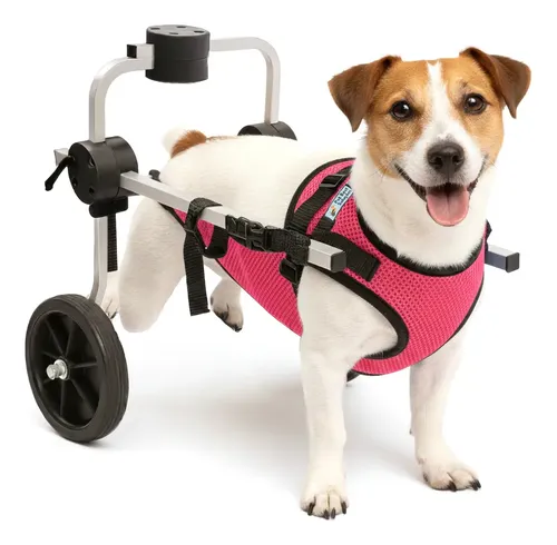 Cadeira 2 Rodas Cachorro Tamanho P Colete Rosa Regulável Pet Cor ...