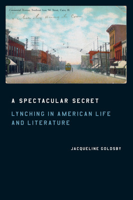 Libro A Spectacular Secret: Lynching In American Life And...