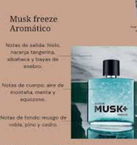 Perfume Masculino Avon Musk Freeze