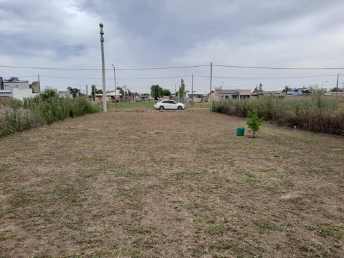 Imagen 3 de 10 de Terreno - Pujato Norte