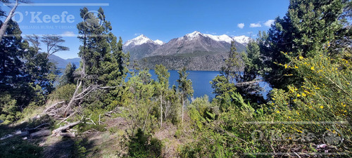 Lote De 12100 M2 En Lago Gutierrez Bariloche  Con Costa De Lago