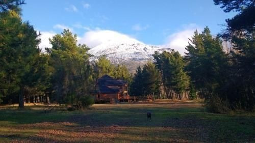 Imagen 24 de 26 de Hosteria Miradas Del Lago - Sobre El Lago Epuyén