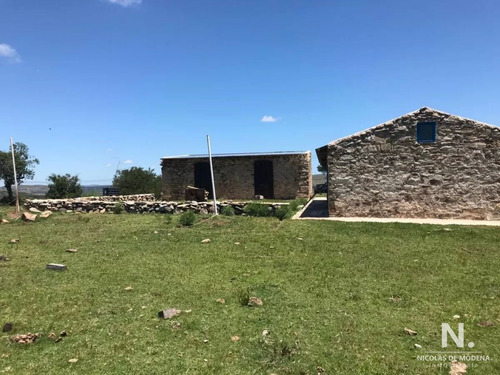 Imagen 3 de 28 de Se Vende Campo De 130 Has, En Maldonado