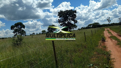 Chácara Parcelada Uberlandia 20.000 M², Entrada R$ 38.000,00 E Parcelas De - 391