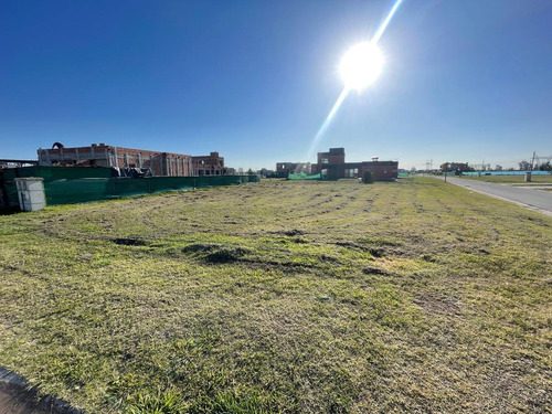 Imagen 3 de 7 de Terreno - La Alameda